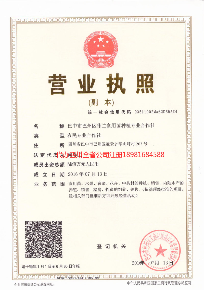 应城应城伟兰食用菌种植专业合作社